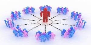 Công ty tnhh 1 thành viên