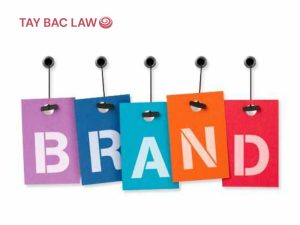 Nhãn hiệu là gì