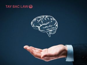 đăng ký sở hữu trí tuệ